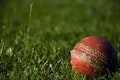 Cricket icon image